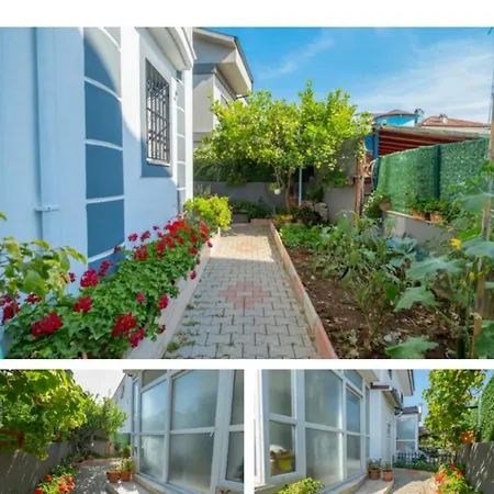 Ces Villa *
