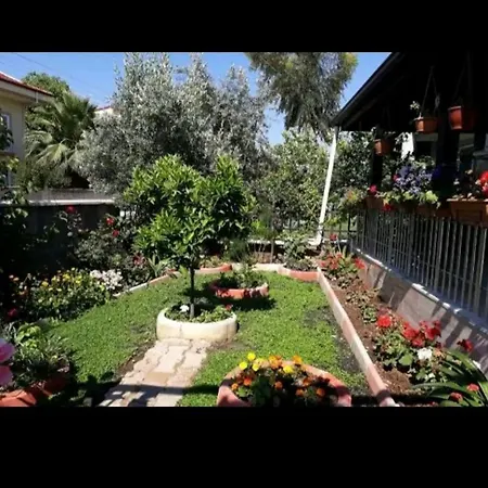 Villa Vılla çeş