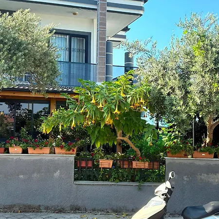 Ces Villa